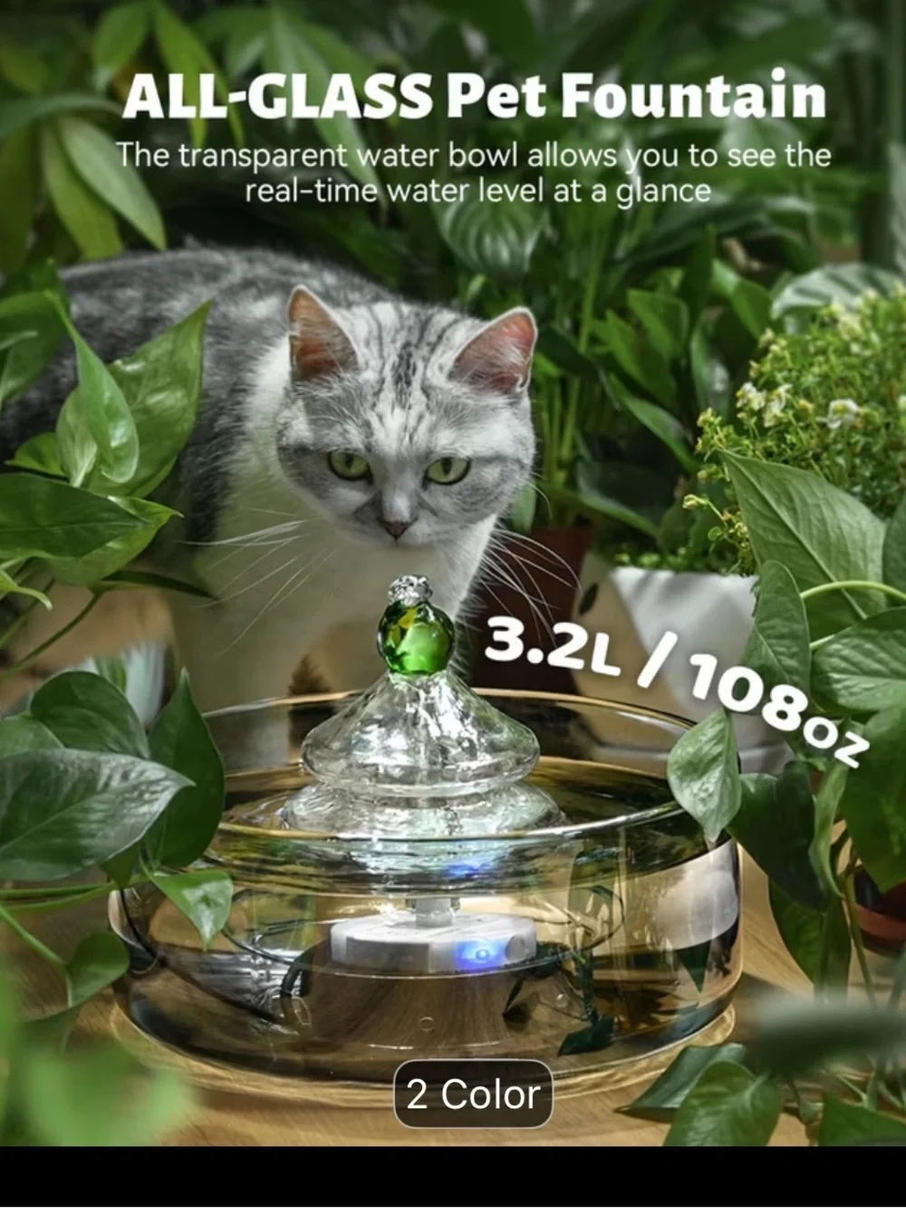 All Glass Pet Water Fountain - Clear Glass w/ Green Accent - NWT